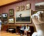 Exploring Auburn’s Art And Culture Scene: Museums, Galleries, And Festivals